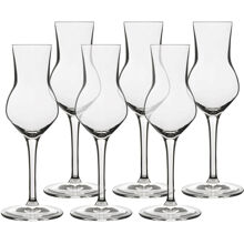 LB Atelier Grappalasi 8 cl