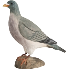 Uuttukyyhky