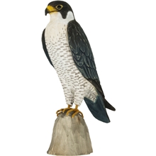 DecoBird Muuttohaukka