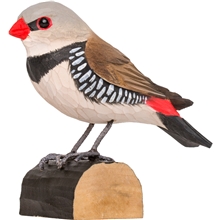 Timanttiastrildi