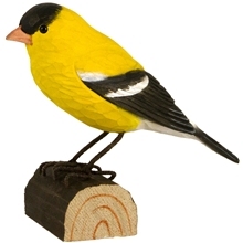 Kultasirkku