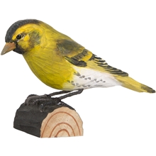 Vihervarpunen