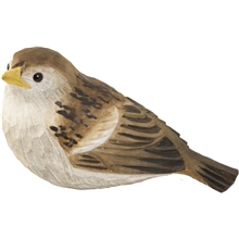 Varpusenpoikanen