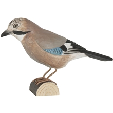 Närhi
