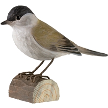 Mustapääkerttu