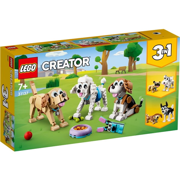 31137 LEGO Creator Söpöt Koirat (Kuva 1 tuotteesta 6)