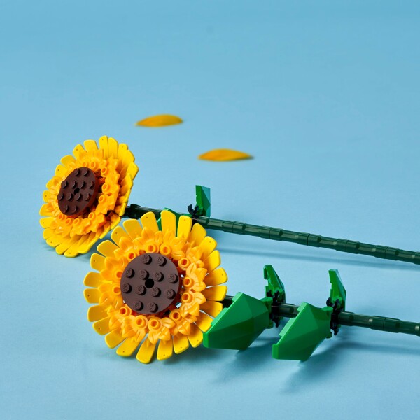 40524 LEGO Botanicals Auringonkukat (Kuva 5 tuotteesta 5)