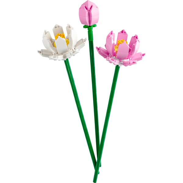 40647 LEGO Botanicals Lootuskukat (Kuva 3 tuotteesta 6)