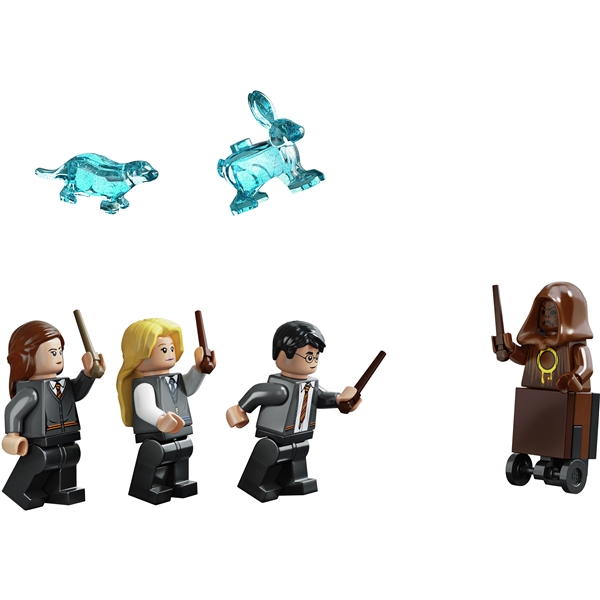 75966 LEGO Harry Potter Tylypahkan Tarvehuone (Kuva 5 tuotteesta 5)