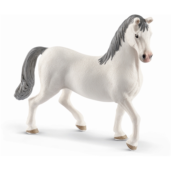 Schleich 13887 Lipizzanhevosori