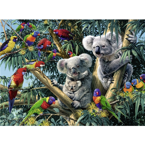 Palapeli 500 Palaa Koalas in a Tree (Kuva 2 tuotteesta 2)