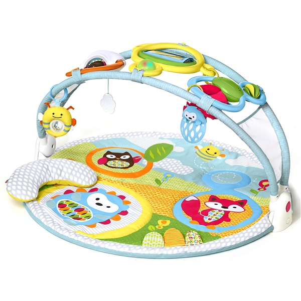 Skip Hop Babygym Explore & More (Kuva 1 tuotteesta 9)