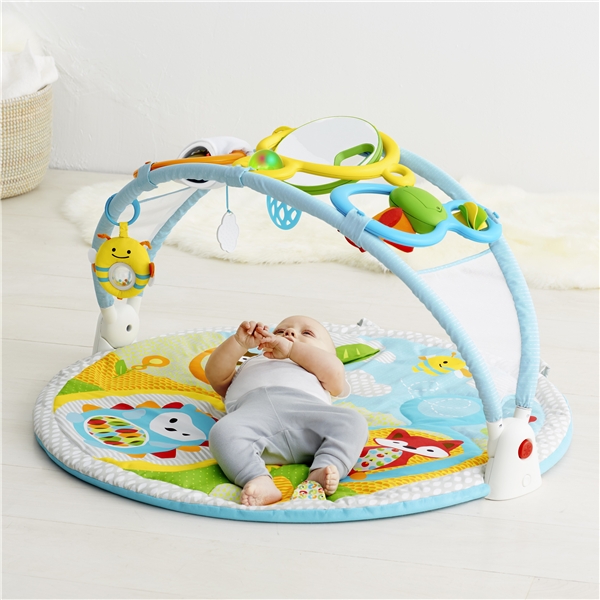 Skip Hop Babygym Explore & More (Kuva 4 tuotteesta 9)