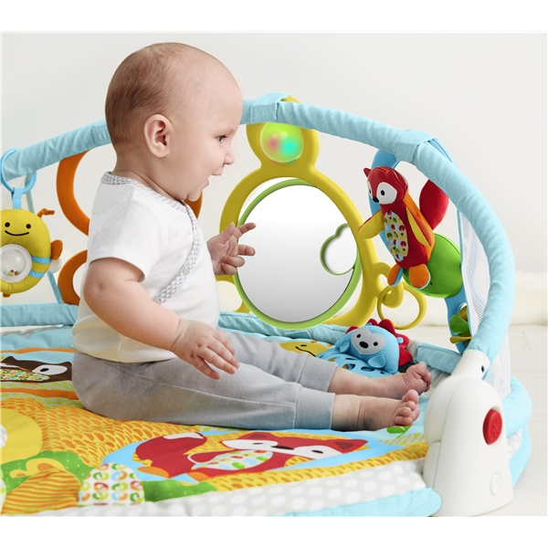 Skip Hop Babygym Explore & More (Kuva 8 tuotteesta 9)