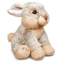 Animigos Eurooppalainen kani