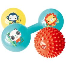Fisher-Price Aistien Aktivointisetti