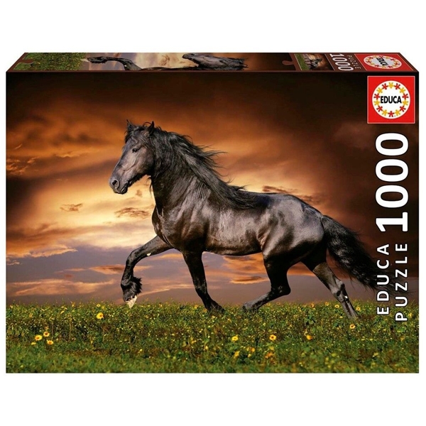 Educa Palapeli 1000 Palaa Trotting Horse (Kuva 1 tuotteesta 3)