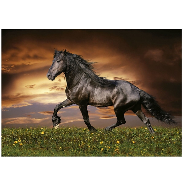 Educa Palapeli 1000 Palaa Trotting Horse (Kuva 2 tuotteesta 3)