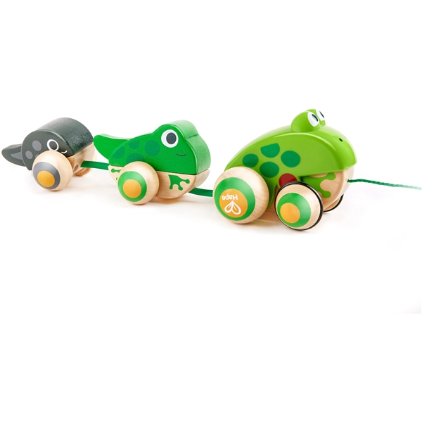 Hape Pull Along Frog Family (Kuva 1 tuotteesta 6)