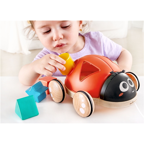 Hape Shape Sorter Ladybug (Kuva 4 tuotteesta 7)