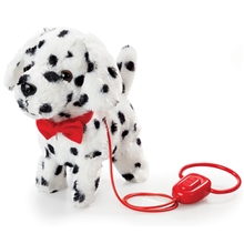 Happy Pets Walk Along Puppy Dalmatialaiset