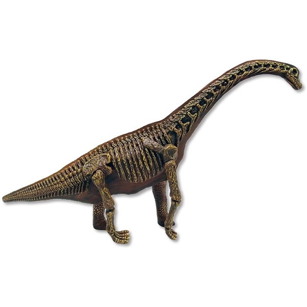 Dinosaur World Realistic 2puoleinen Brachiosaurus (Kuva 3 tuotteesta 3)