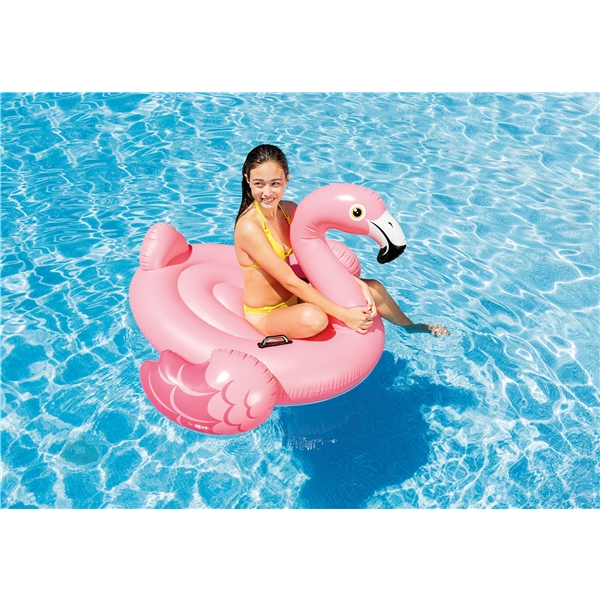 INTEX Flamingo Ride-On (Kuva 2 tuotteesta 2)