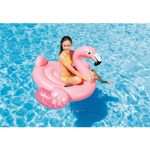 INTEX Flamingo Ride-On (Kuva 2 tuotteesta 2)