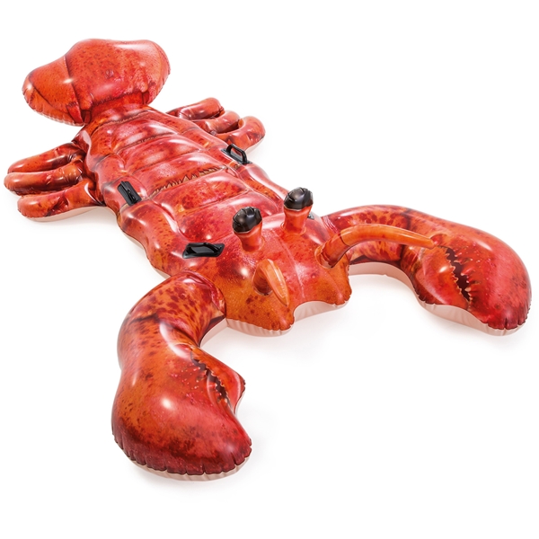 INTEX Lobster (Kuva 1 tuotteesta 2)