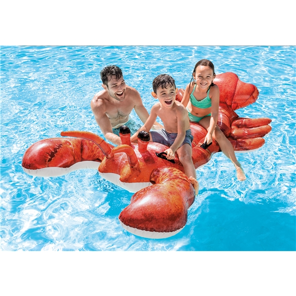 INTEX Lobster (Kuva 2 tuotteesta 2)