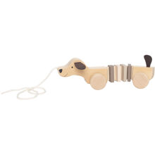 Jabadabado Vedettävä koira Puppy