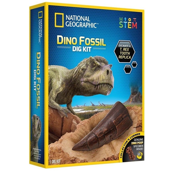 National Geographic Dinosaur Dig Kit (Kuva 1 tuotteesta 5)