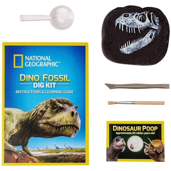 National Geographic Dinosaur Dig Kit (Kuva 2 tuotteesta 5)