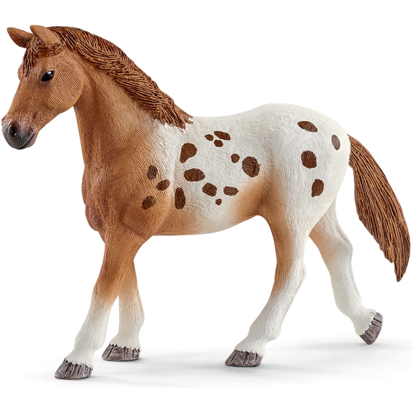 Schleich 42433 Horse Clubin kilpailuharjoitussarja (Kuva 2 tuotteesta 7)