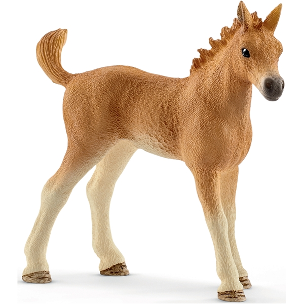 Schleich 42432 Horse Clubin eläinvauvanhoitosarja (Kuva 3 tuotteesta 6)