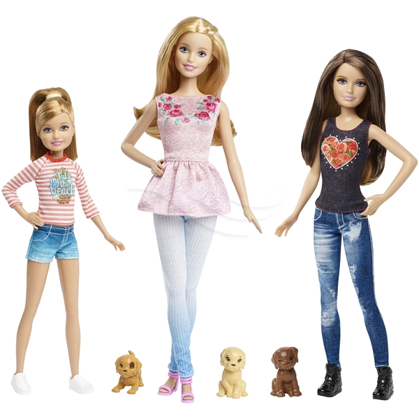 Barbie Fashionistas Doll & Pet - Raquelle (Kuva 4 tuotteesta 5)