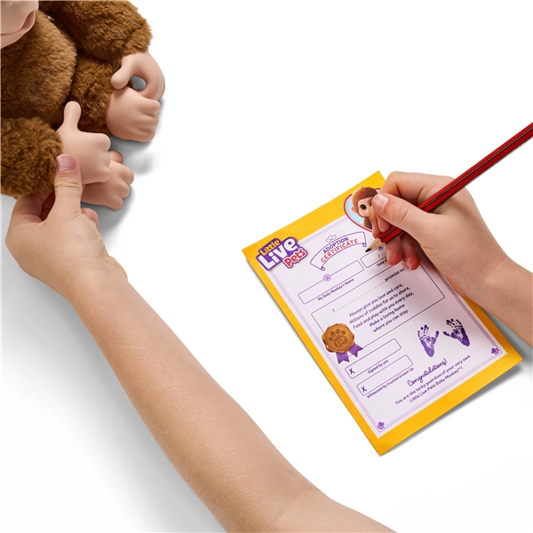 Little Live Pets My Baby Monkey (Kuva 8 tuotteesta 8)