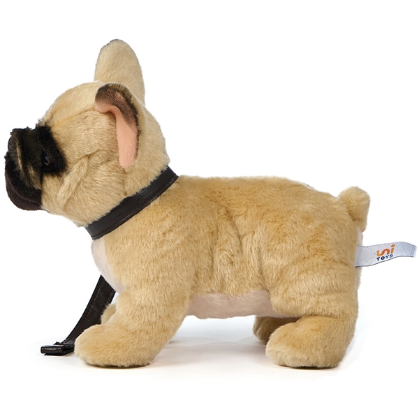 Uni-Toys Bulldoggi Hihnalla (Kuva 3 tuotteesta 3)