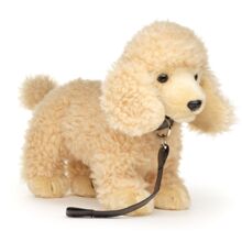 Villakoira talutushihnassa