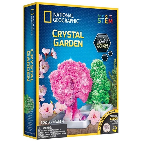 National Geographic Crystal Garden Kit (Kuva 1 tuotteesta 4)