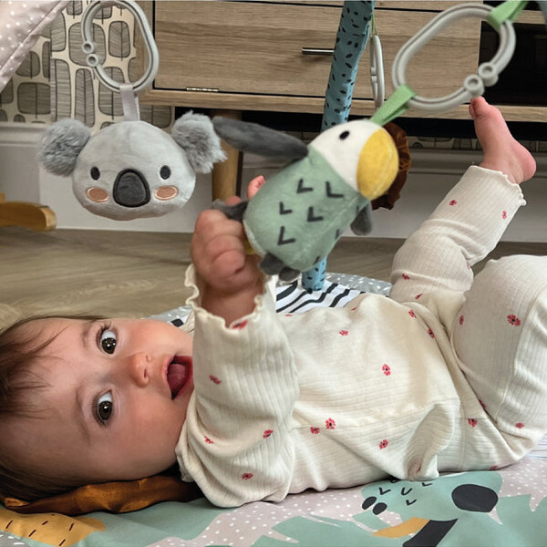 Nuby Animal Adventure Playgym (Kuva 4 tuotteesta 4)