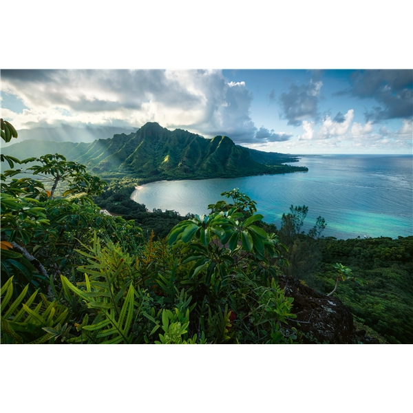 Palapeli 5000 Palaa Hawaiian Viewpoint (Kuva 2 tuotteesta 2)