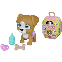 Pamper Petz Koira