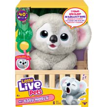 Little Live Pets Minun vauvakoalani