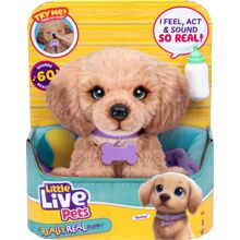 Little Live Pets – aidon tuntuinen Daxie-pentu