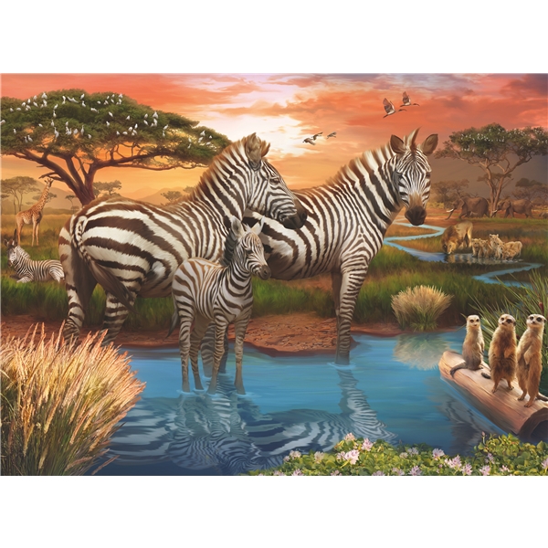 Palapeli 500 Palaa Zebras in Sunset (Kuva 2 tuotteesta 2)