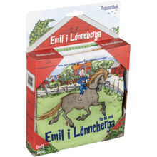 Vaahteranmäen Eemeli Rapinakirja