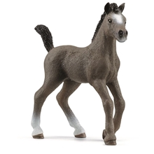 Schleich 13957 Cheval de Selle Fr. foal