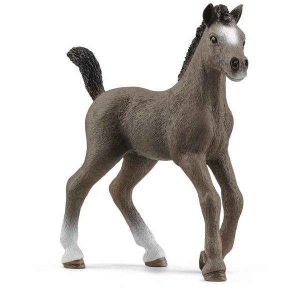 Schleich 13957 Cheval de Selle Fr. foal (Kuva 1 tuotteesta 3)