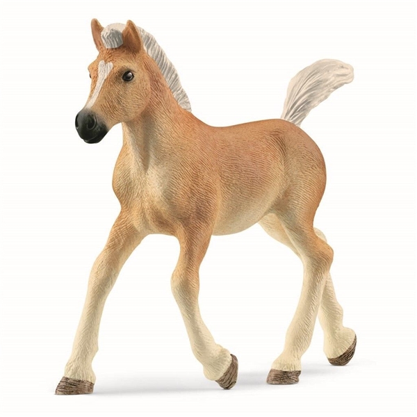 Schleich 13951 Haflinger foal (Kuva 1 tuotteesta 2)